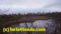 /home//u458753944/public_html/sourcegallery/////////////////////////////////////////Roxborough Toad Detour/2013-2019/2013/2013-04-18/P1120175.JPG